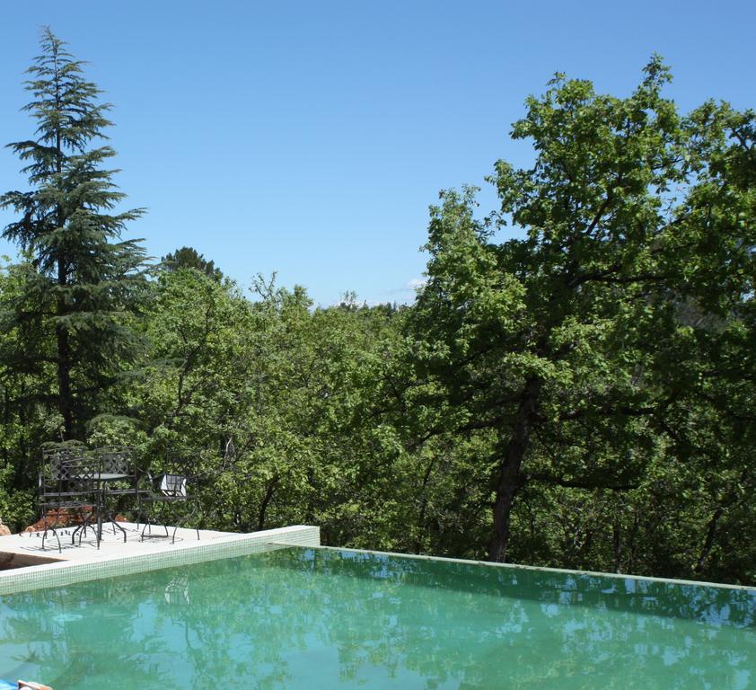 Sous Les Oliviers - Piscine Chauffee - Studios De Standing Tout-Equipes Saint-Maximin-la-Sainte-Baume Bilik gambar