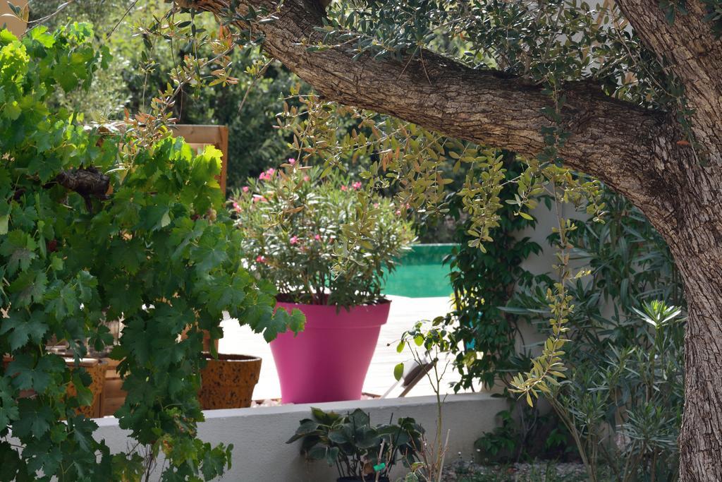 Sous Les Oliviers - Piscine Chauffee - Studios De Standing Tout-Equipes Saint-Maximin-la-Sainte-Baume Luaran gambar