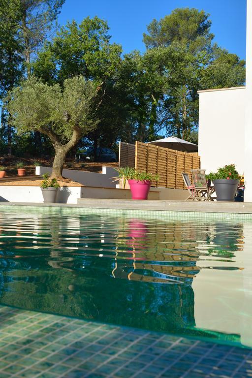 Sous Les Oliviers - Piscine Chauffee - Studios De Standing Tout-Equipes Saint-Maximin-la-Sainte-Baume Luaran gambar