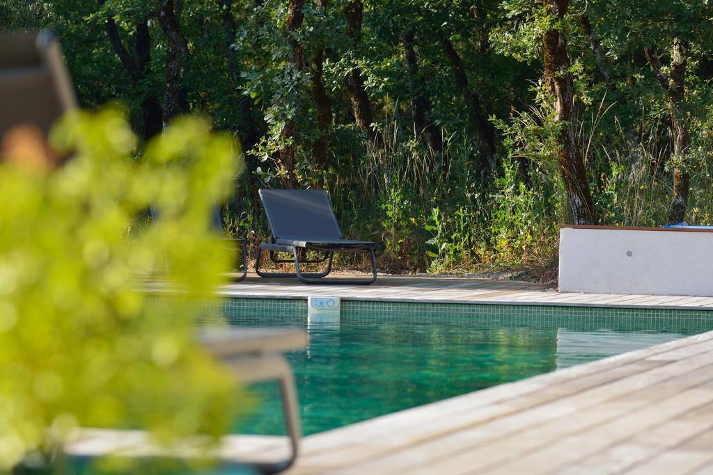 Sous Les Oliviers - Piscine Chauffee - Studios De Standing Tout-Equipes Saint-Maximin-la-Sainte-Baume Luaran gambar