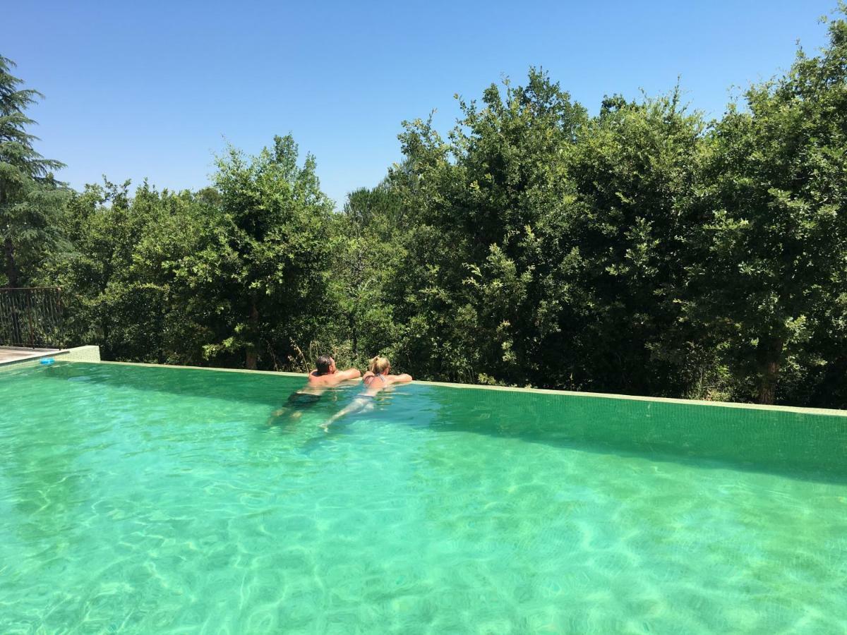 Sous Les Oliviers - Piscine Chauffee - Studios De Standing Tout-Equipes Saint-Maximin-la-Sainte-Baume Luaran gambar
